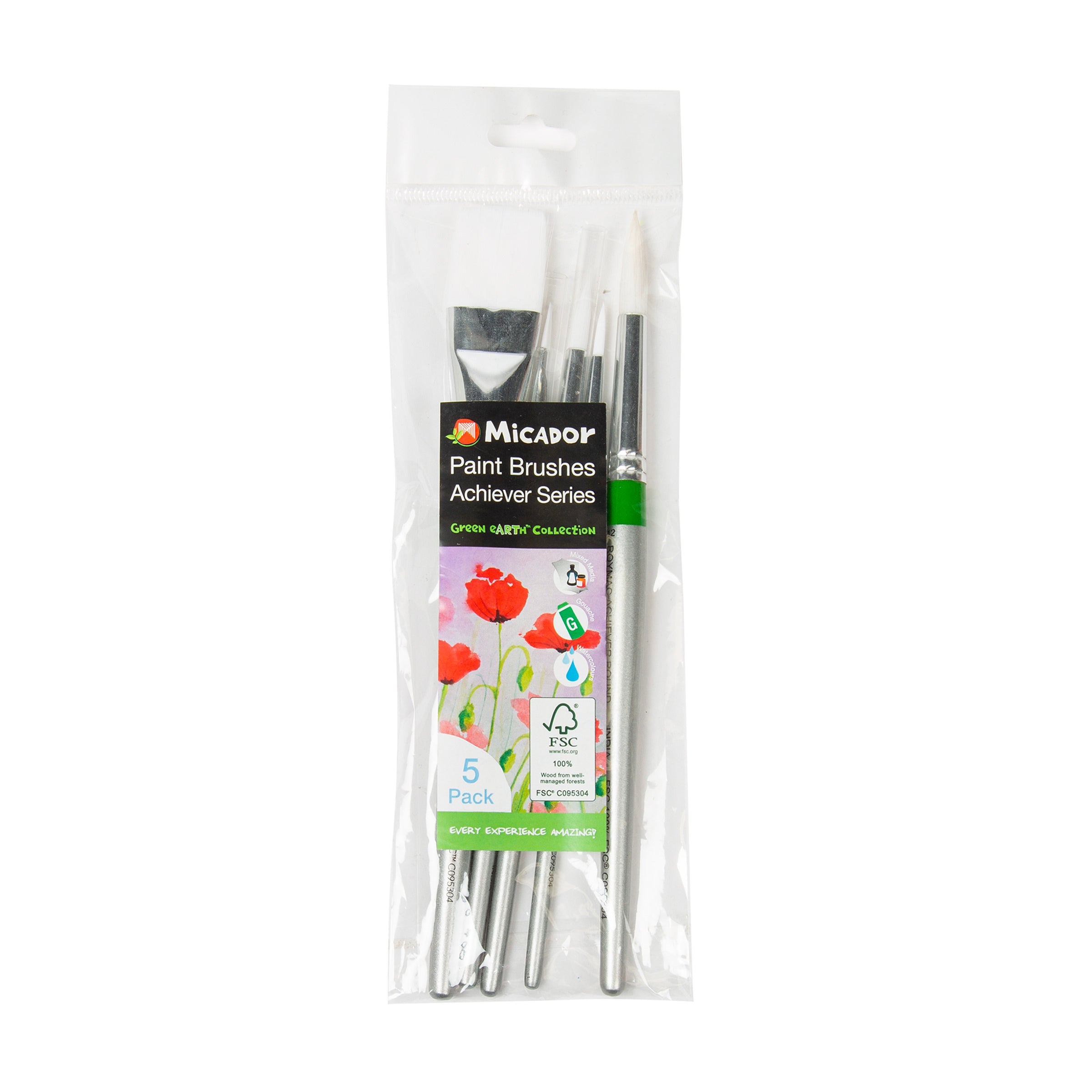 Micador For Artists Achiever 5Pk