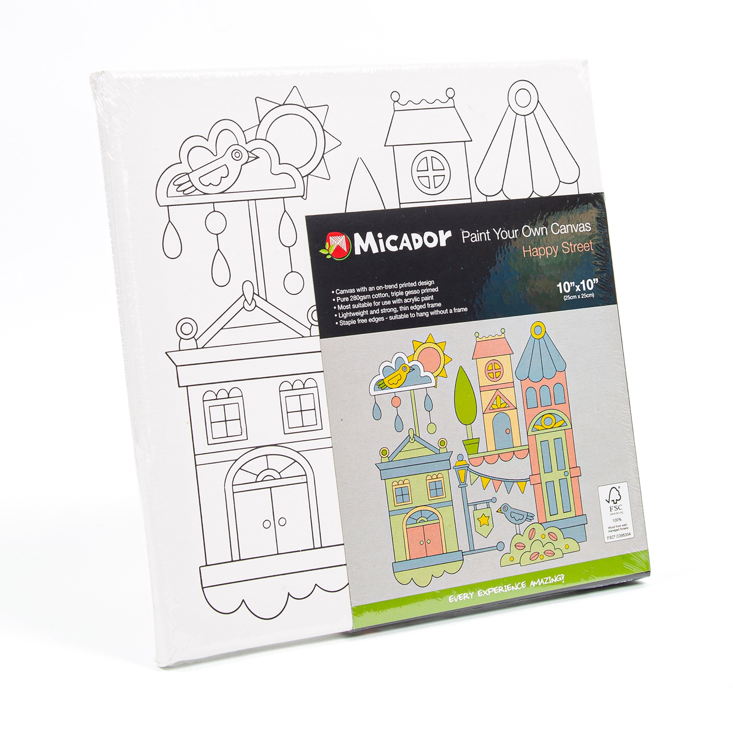 Micador Paint Your Own Canvas