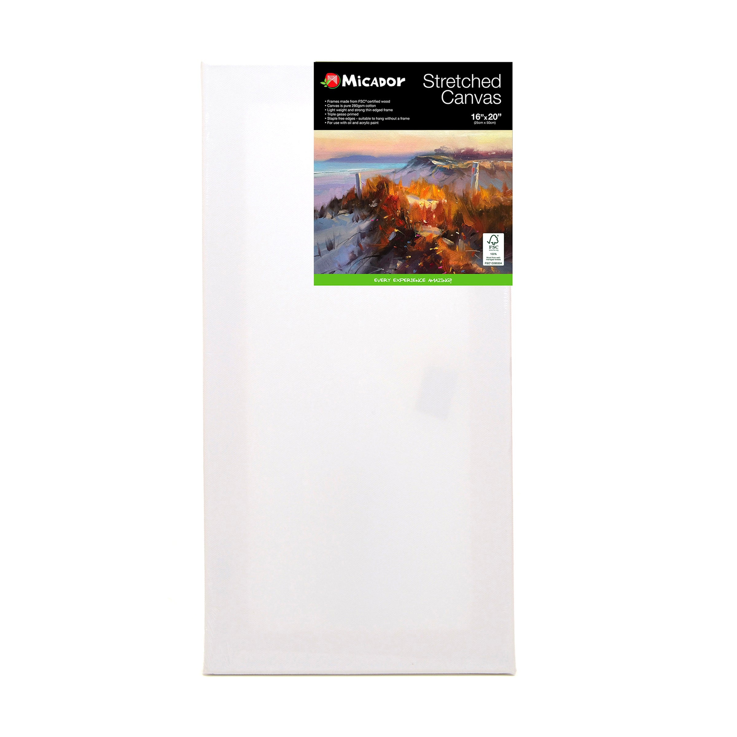 Micador Stretched Canvas 10X20