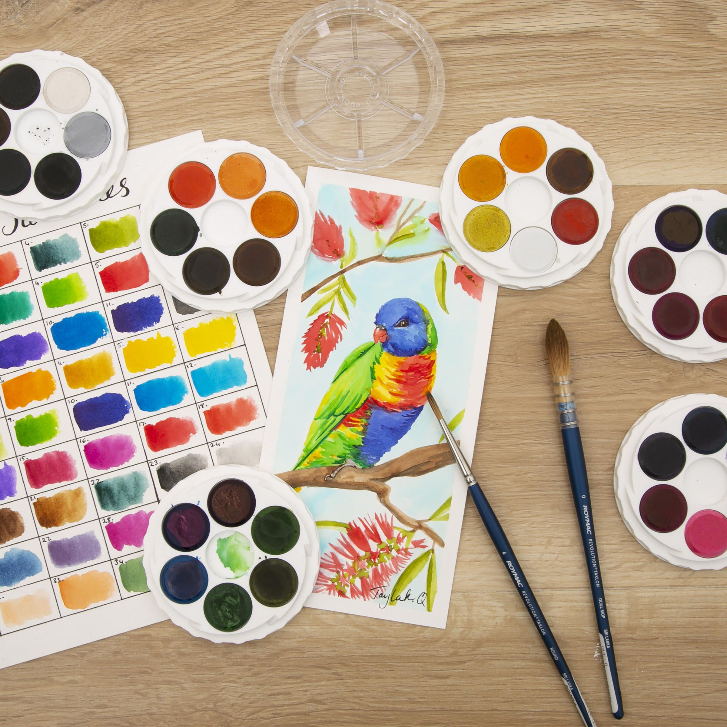 Micador For Artists Brilliant Watercolours 36