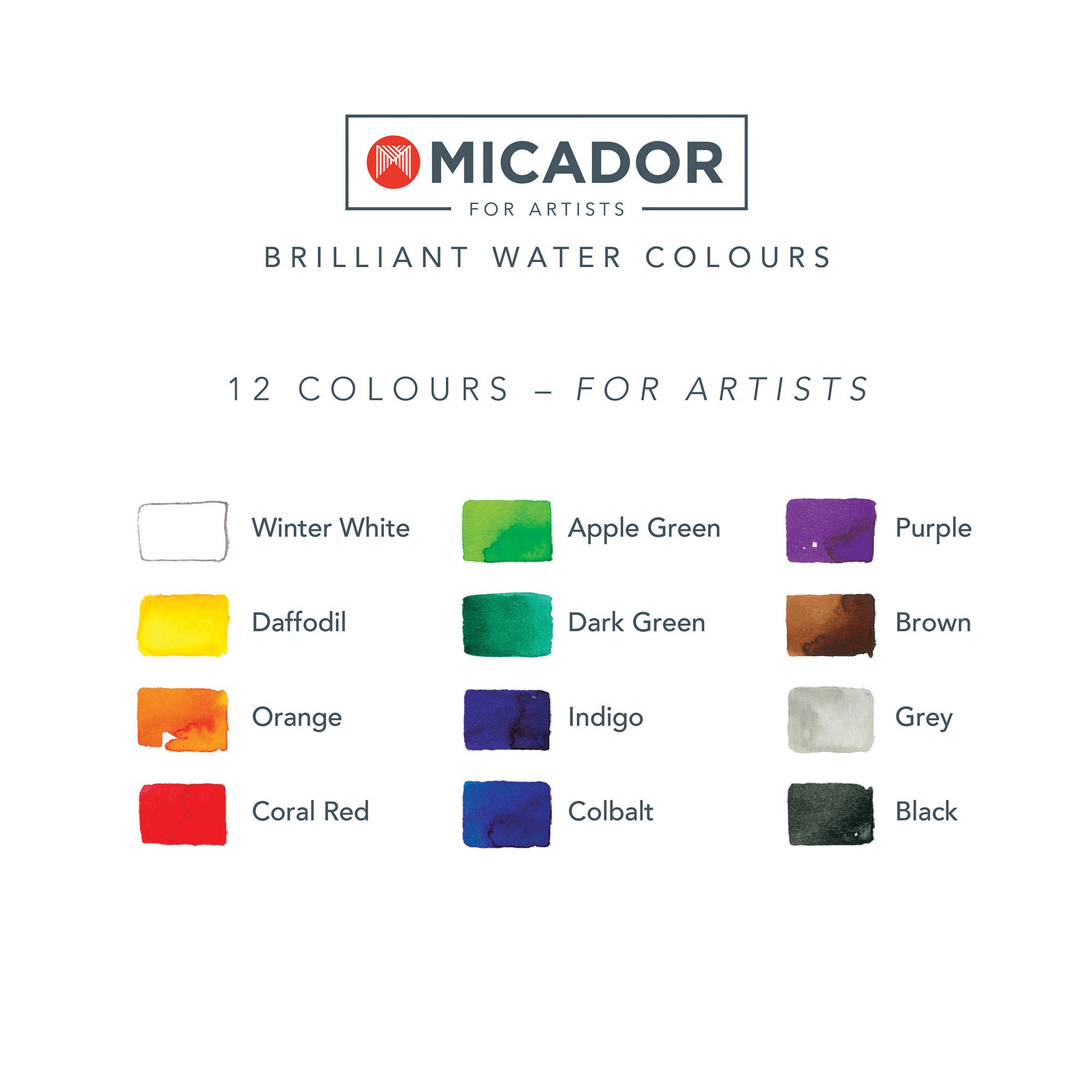 Watercolour Disc- 12 Brilliant  Micador For Artists