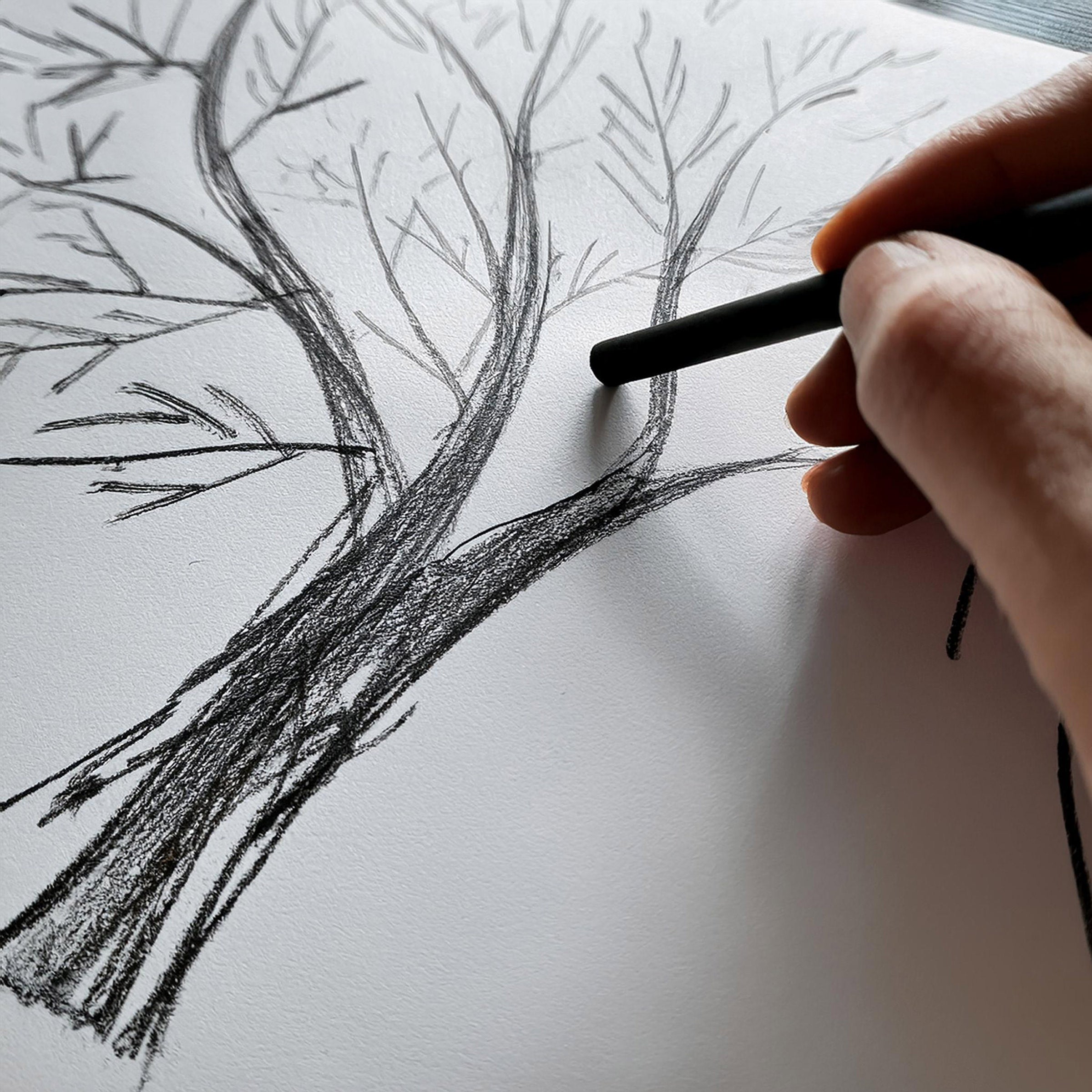 Micador For Artists Willow Charcoal 14Mm