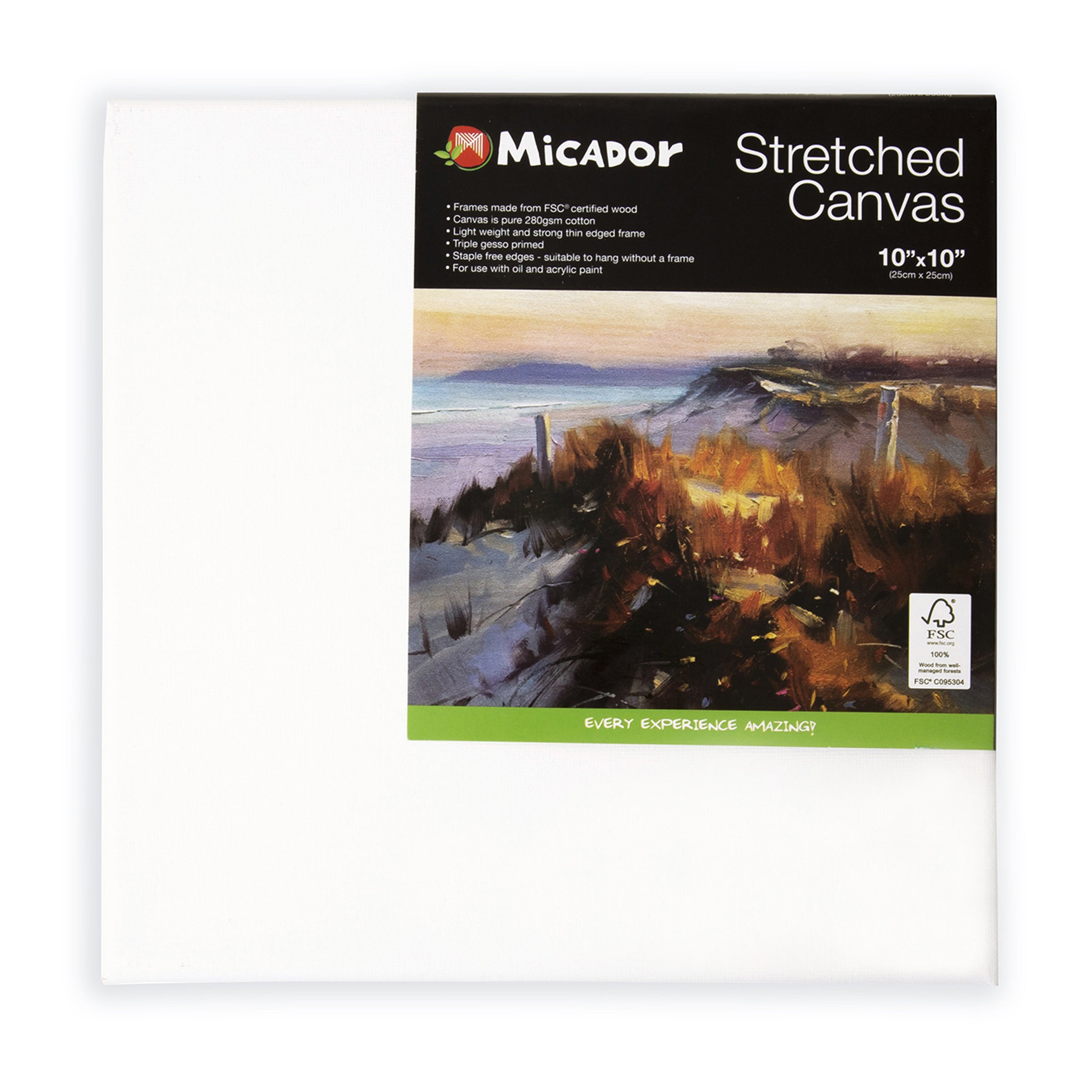 Micador Stretchedcanvas 10X10