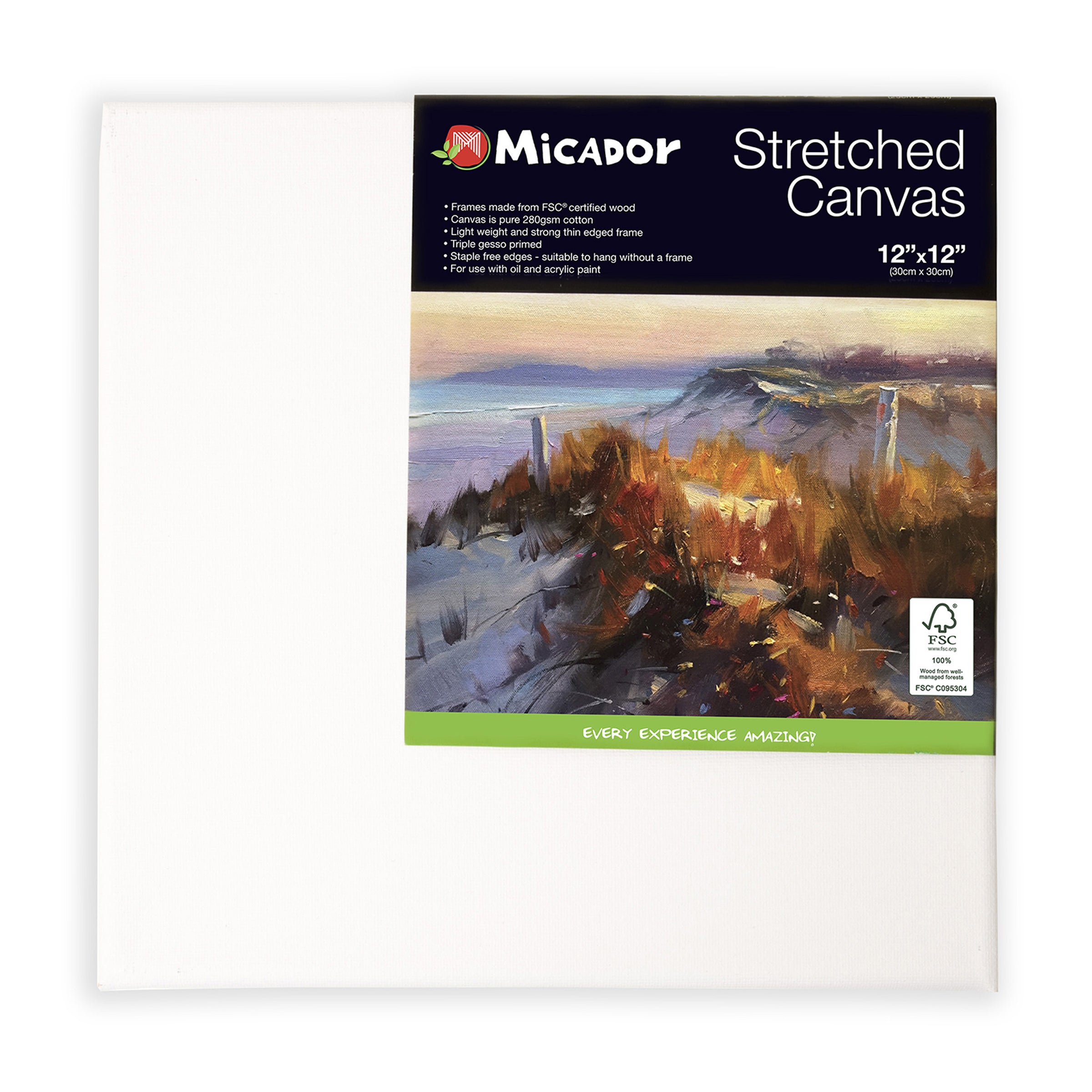 Micador Stretchedcanvas 12X12